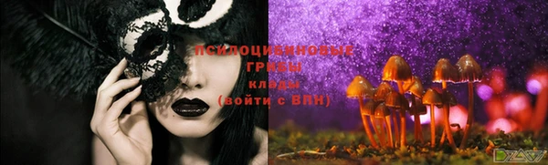 кокс Алексеевка