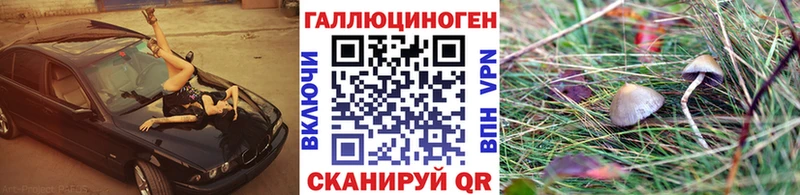 Псилоцибиновые грибы ЛСД Салаир