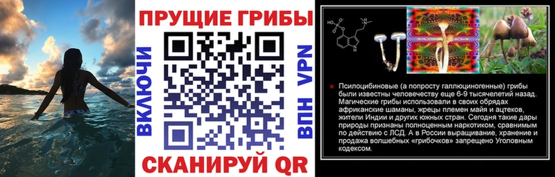 Псилоцибиновые грибы GOLDEN TEACHER  Салаир 