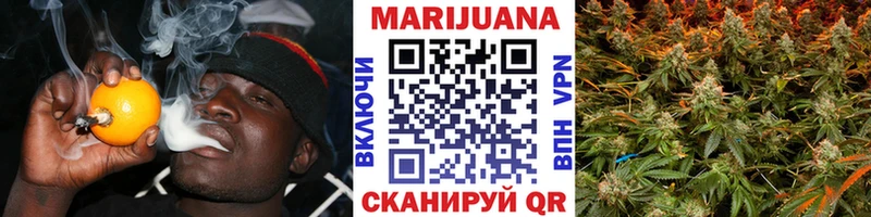 где продают   Салаир  МАРИХУАНА OG Kush 